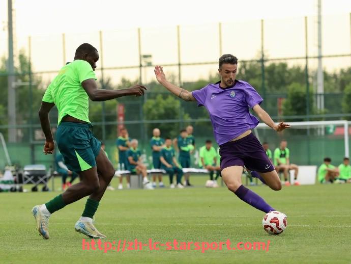 星空体育app-世俱杯商业合作风险评估体系构建与应用实例